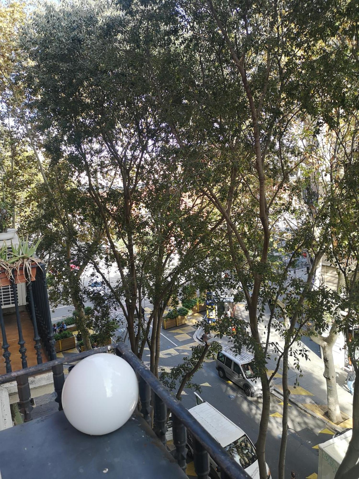 Aparteasy - Family Sant Antoni Apt. Barselona Dış mekan fotoğraf