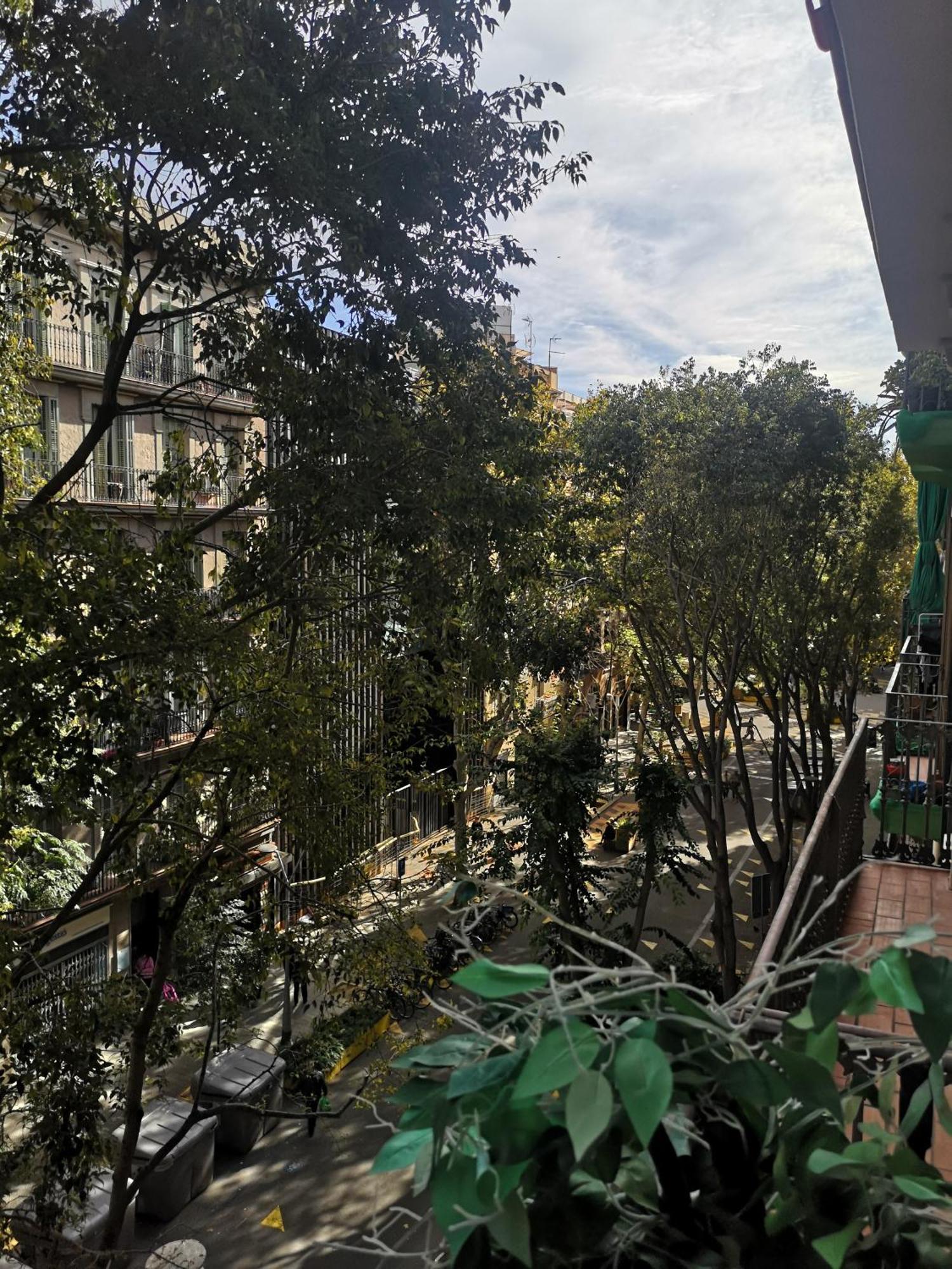 Aparteasy - Family Sant Antoni Apt. Barselona Dış mekan fotoğraf